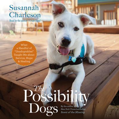 The Possibility Dogs by Susannah Charleson audiobook