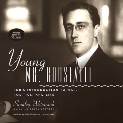 Young Mr. Roosevelt by Stanley Weintraub audiobook