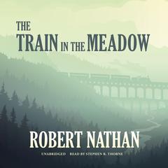 The Train in the Meadow by Robert Nathan audiobook