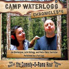 The Camp Waterlogg Chronicles 6 by Joe Bevilacqua audiobook
