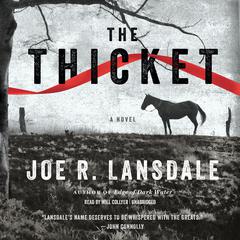 The Thicket by Joe R. Lansdale audiobook
