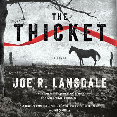 The Thicket by Joe R. Lansdale audiobook