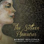 The Sixteen Pleasures by  Robert Hellenga audiobook