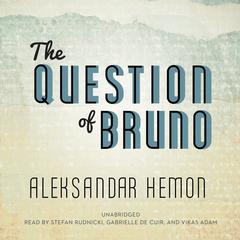 The Question of Bruno by Aleksandar Hemon audiobook