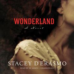 Wonderland by Stacey D’Erasmo audiobook