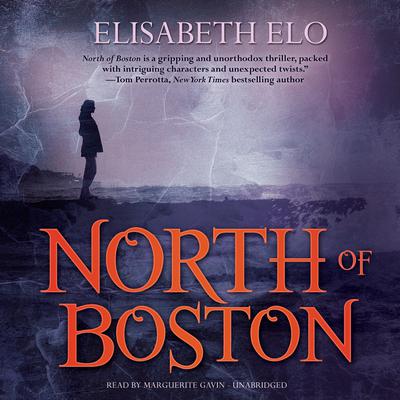 North of Boston by Elisabeth Elo audiobook