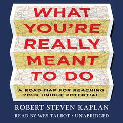 What You’re Really Meant to Do by Robert Steven Kaplan audiobook