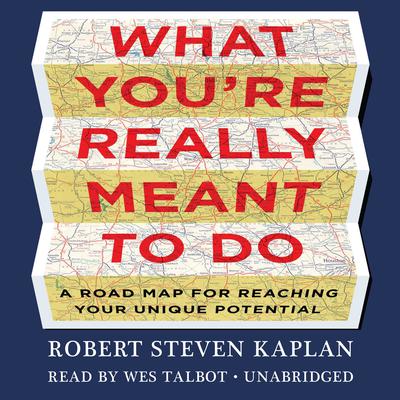 What You’re Really Meant to Do by Robert Steven Kaplan audiobook