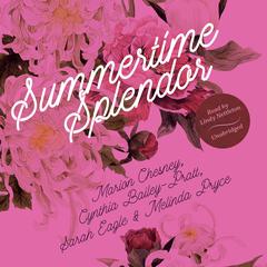 Summertime Splendor by M. C. Beaton audiobook