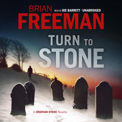 Turn to Stone by Brian Freeman audiobook