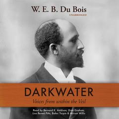 Darkwater by W. E. B. Du Bois audiobook