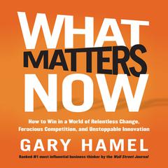 What Matters Now by Gary Hamel audiobook