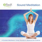 The Eflexx Sound Meditation by  Mike Angulo audiobook