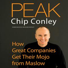 Peak by Chip Conley audiobook