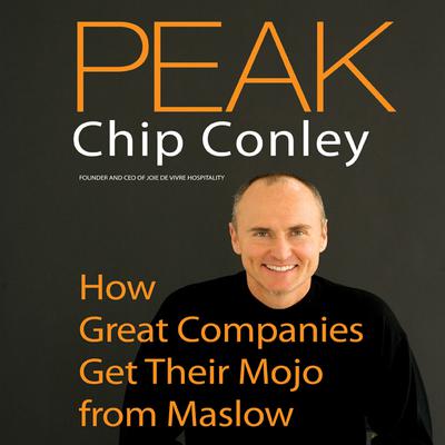 Peak by Chip Conley audiobook