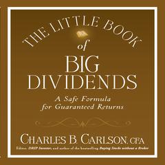 The Little Book of Big Dividends by Terry Savage audiobook