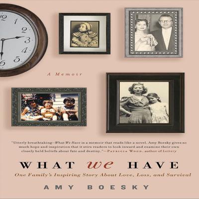 What We Have by Amy Boesky audiobook