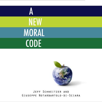 New Moral Code by Jeff Schweitzer audiobook