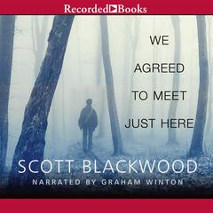 We Agreed to Meet Just Here by Scott Blackwood audiobook