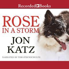 Rose in a Storm by Jon Katz audiobook