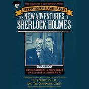 The Terrifying Cats and The Submarine Cave by  Anthony Boucher audiobook