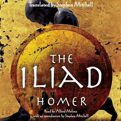 The Iliad by Homer audiobook