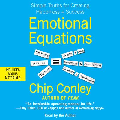 Emotional Equations by Chip Conley audiobook