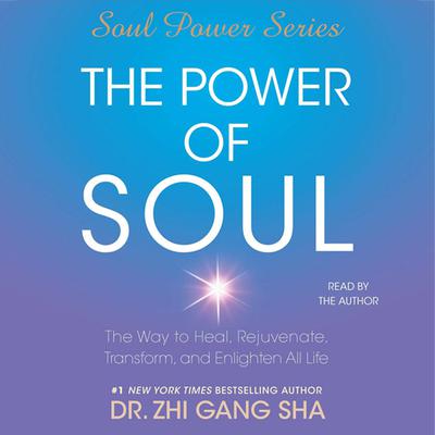 The Power of Soul by Zhi Gang Sha audiobook