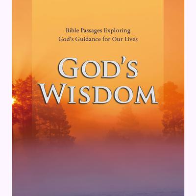 God's Wisdom by Various  audiobook