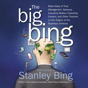 The Big Bing by  Stanley Bing audiobook
