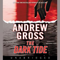 The Dark Tide by Andrew Gross audiobook