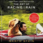 The Art of Racing in the Rain by  Garth Stein audiobook
