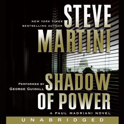 Shadow of Power by Steve Martini audiobook
