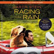 Racing in the Rain by  Garth Stein audiobook