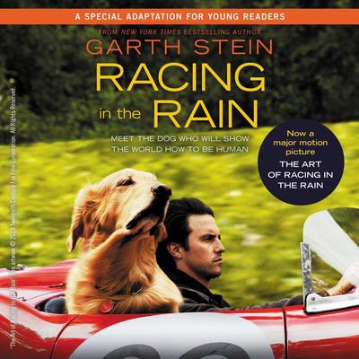 Racing in the Rain by Garth Stein audiobook