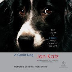 A Good Dog by Jon Katz audiobook