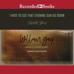 I Hate To See That Evening Sun Go Down by William Gay audiobook
