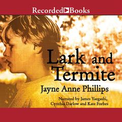 Lark and Termite by Jayne Anne Phillips audiobook