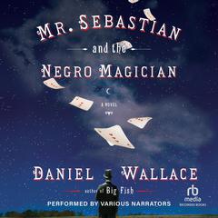 Mr. Sebastian and the Negro Magician by Daniel Wallace audiobook