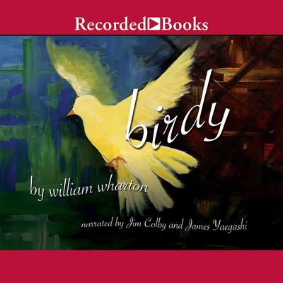 Birdy by William Wharton audiobook