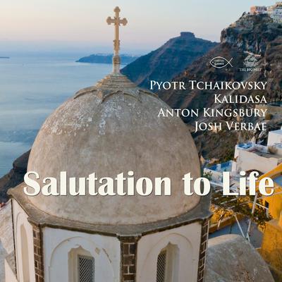 Salutation to Life by Anton Kingsbury audiobook
