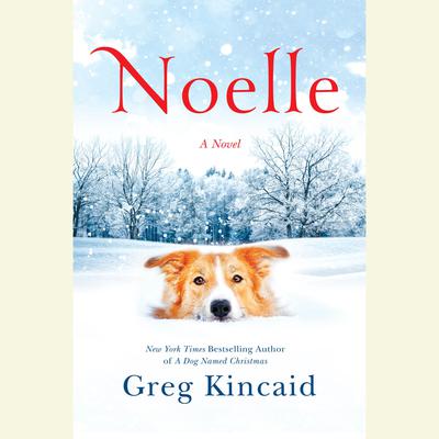 Noelle by Greg Kincaid audiobook