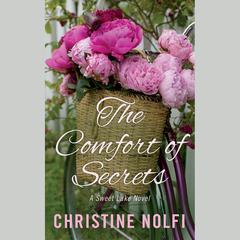 The Comfort of Secrets by Christine Nolfi audiobook