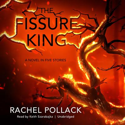 The Fissure King by Rachel Pollack audiobook