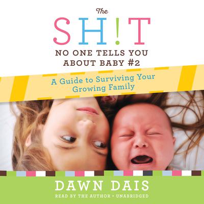 The Sh!t No One Tells You About Baby #2 by Dawn Dais audiobook