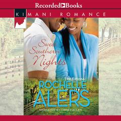 Sweet Southern Nights by Rochelle Alers audiobook