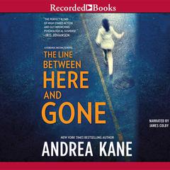 The Line Between Here and Gone by Andrea Kane audiobook