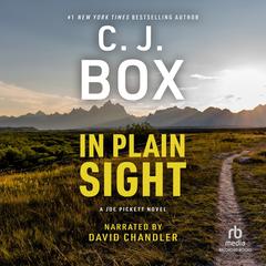 In Plain Sight by C. J. Box audiobook
