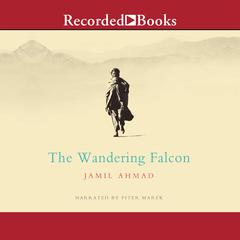 The Wandering Falcon by Jamil Ahmad audiobook