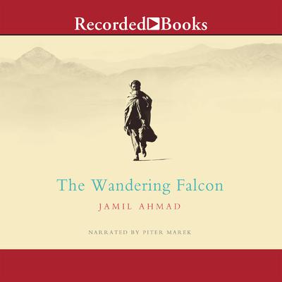 The Wandering Falcon by Jamil Ahmad audiobook